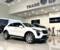  XT4